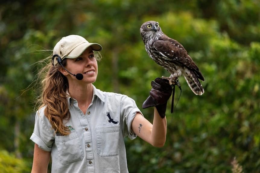 Stacey Thomson (Ranger Stacey)